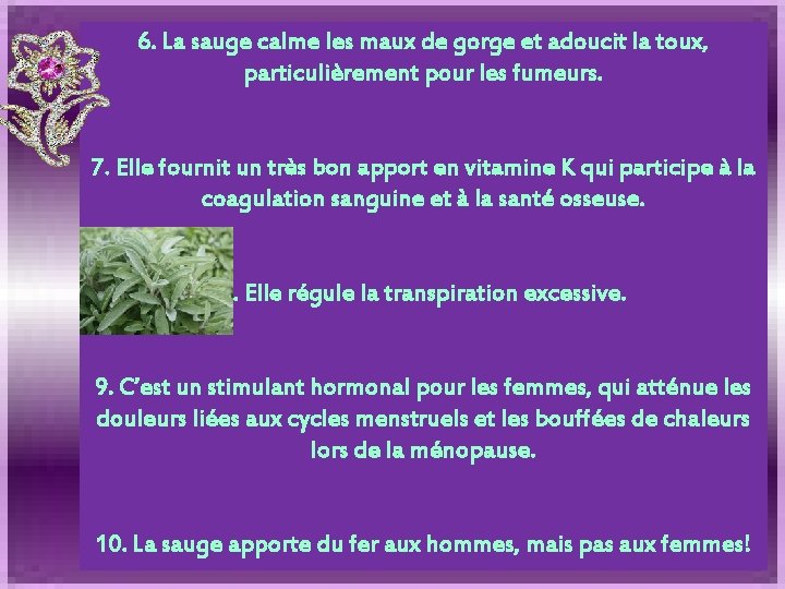 6. La sauge calme les maux de gorge et adoucit la toux, particulièrement pour