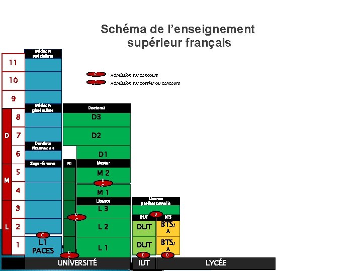 11 Schéma de l’enseignement supérieur français Médecin spécialiste C D C 10 9 8