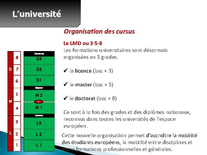 L’université Organisation des cursus D 3 Le LMD ou 3 -5 -8 Les formations