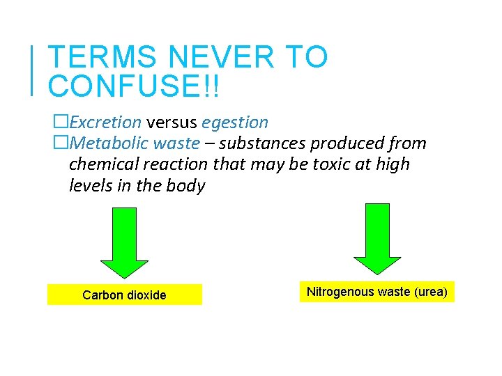TERMS NEVER TO CONFUSE!! �Excretion versus egestion �Metabolic waste – substances produced from chemical