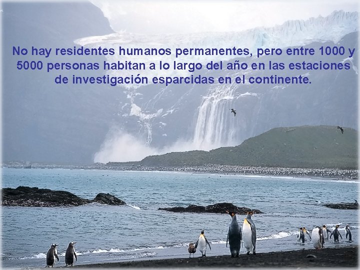 No hay residentes humanos permanentes, pero entre 1000 y 5000 personas habitan a lo