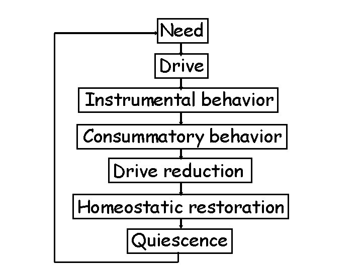 Need Drive Instrumental behavior Consummatory behavior Drive reduction Homeostatic restoration Quiescence 