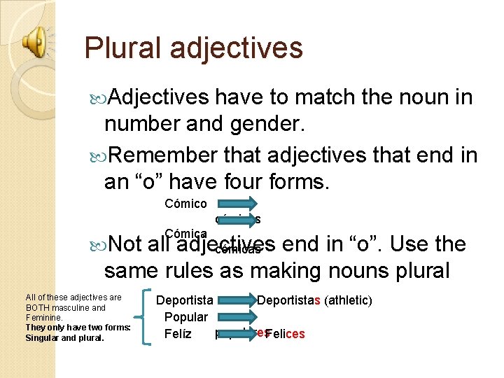 Plural adjectives Adjectives have to match the noun in number and gender. Remember that