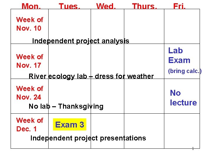 Mon. Tues. Wed. Thurs. Fri. Week of Nov. 10 Independent project analysis Week of
