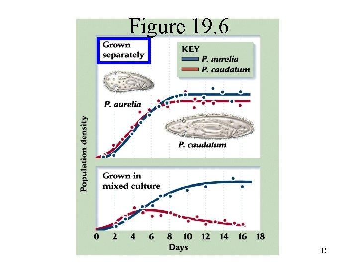 Figure 19. 6 15 