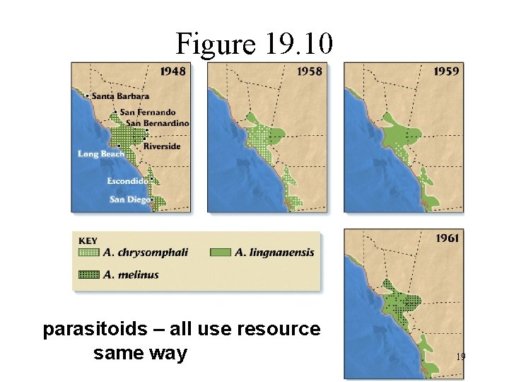 Figure 19. 10 parasitoids – all use resource same way 19 