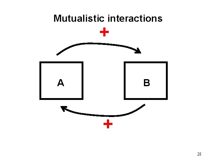 Mutualistic interactions + A B + 28 