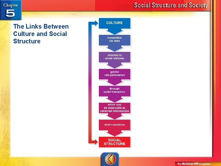 The Links Between Culture and Social Structure 