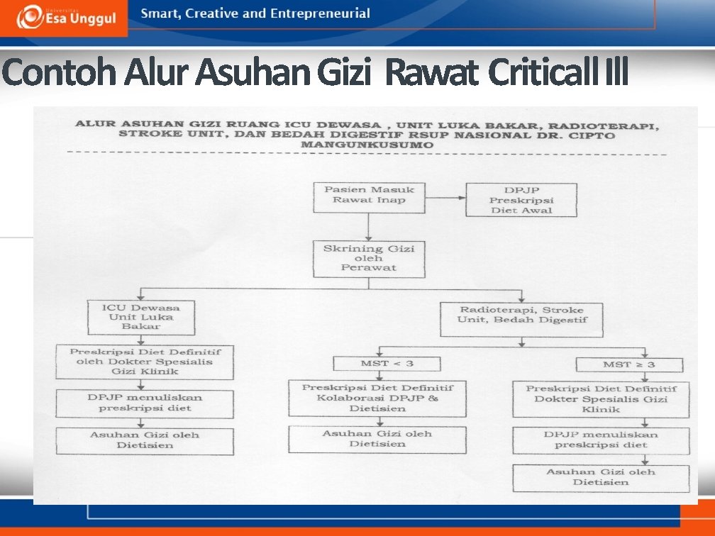 Contoh Alur Asuhan Gizi Rawat Criticall Ill 