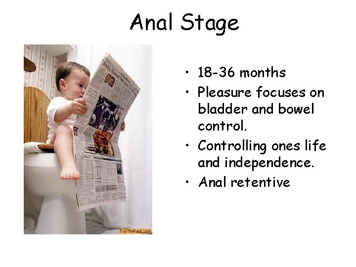 Anal Stage • 18 -36 months • Pleasure focuses on bladder and bowel control.
