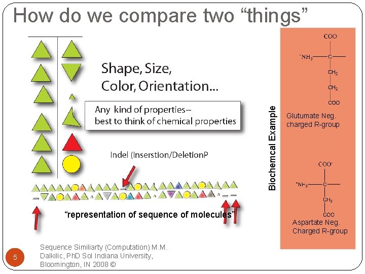 Biochemcal Example How do we compare two “things” “representation of sequence of molecules” 5