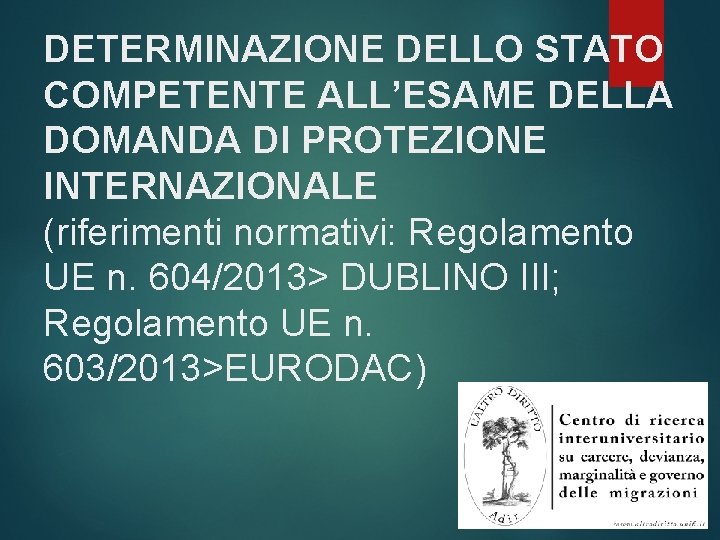 DETERMINAZIONE DELLO STATO COMPETENTE ALL’ESAME DELLA DOMANDA DI PROTEZIONE INTERNAZIONALE (riferimenti normativi: Regolamento UE