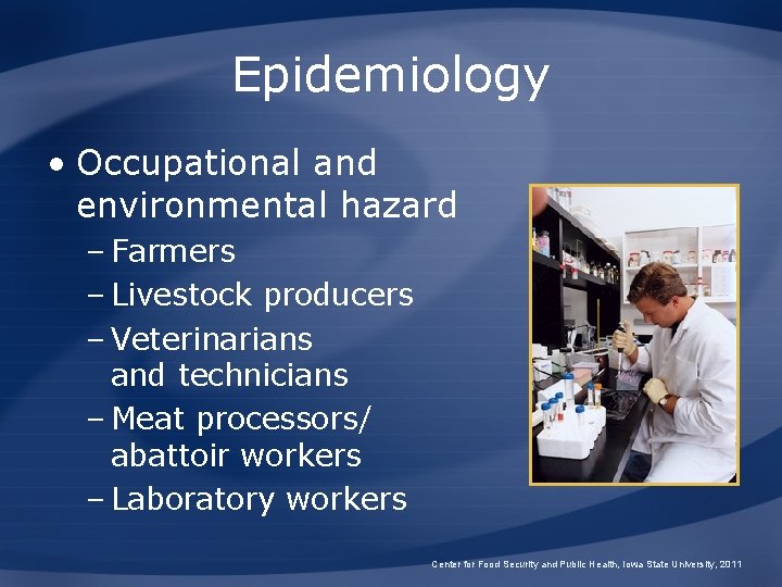 Epidemiology • Occupational and environmental hazard – Farmers – Livestock producers – Veterinarians and