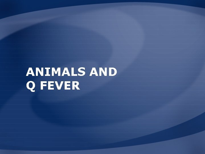 ANIMALS AND Q FEVER 
