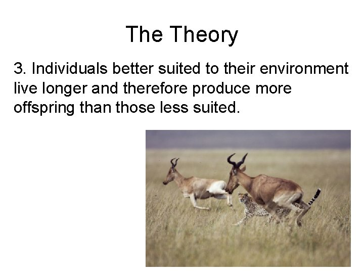 The Theory 3. Individuals better suited to their environment live longer and therefore produce