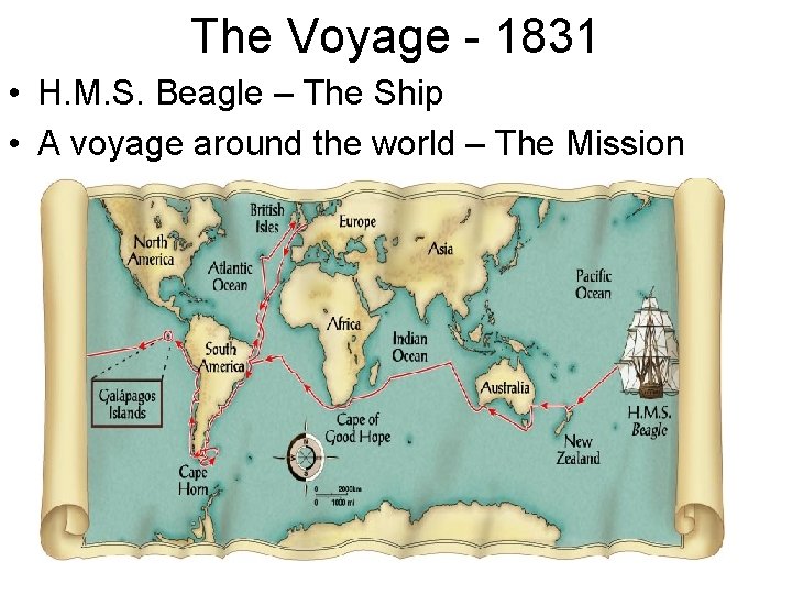 The Voyage - 1831 • H. M. S. Beagle – The Ship • A