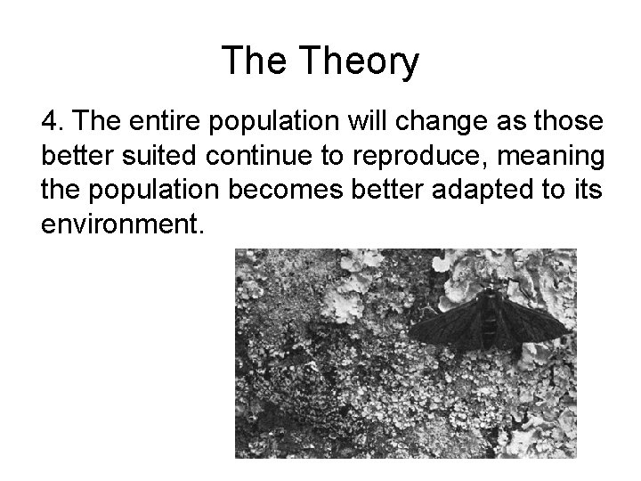 The Theory 4. The entire population will change as those better suited continue to