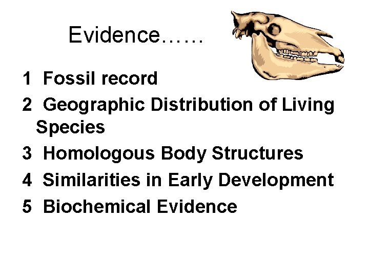 Evidence…… 1 Fossil record 2 Geographic Distribution of Living Species 3 Homologous Body Structures