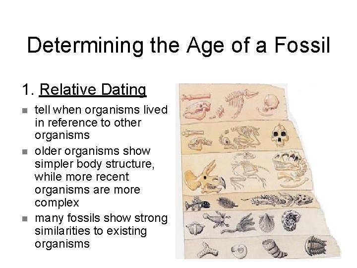 Determining the Age of a Fossil 1. Relative Dating n n n tell when