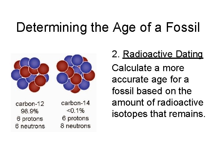 Determining the Age of a Fossil 2. Radioactive Dating Calculate a more accurate age