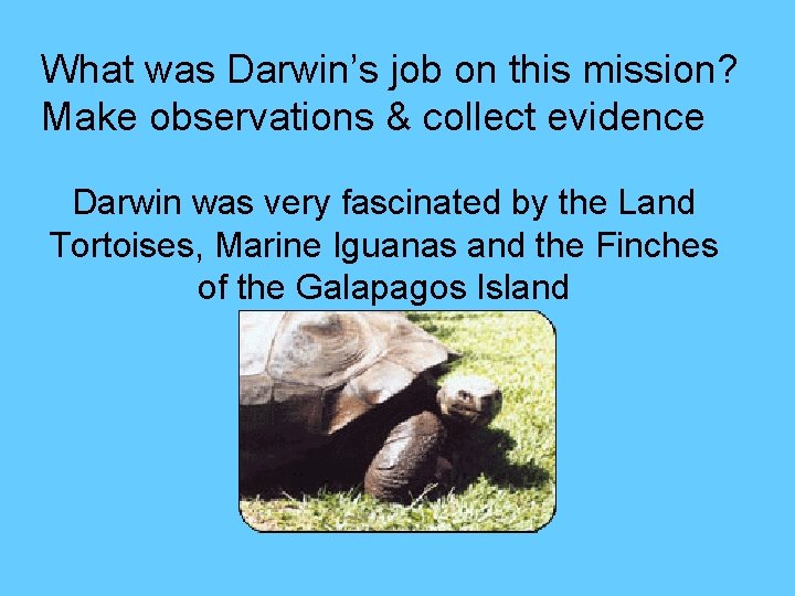 What was Darwin’s job on this mission? Make observations & collect evidence Darwin was