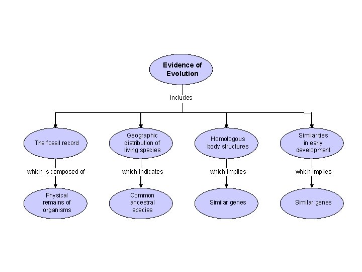 Evidence of Evolution includes The fossil record Geographic distribution of living species Homologous body