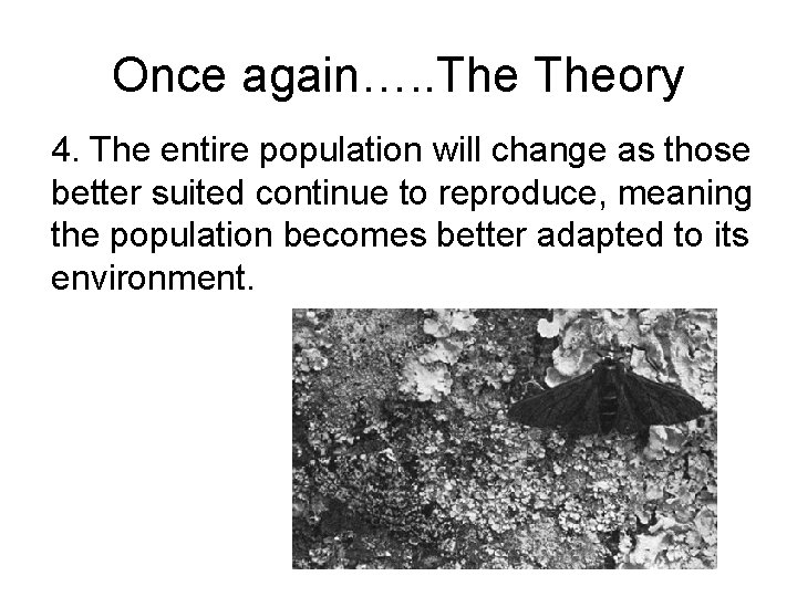 Once again…. . Theory 4. The entire population will change as those better suited