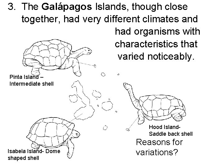 3. The Galápagos Islands, though close together, had very different climates and had organisms