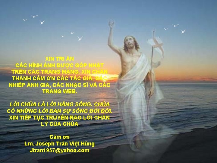 XIN TRI N CÁC HÌNH ẢNH ĐƯỢC GÓP NHẶT TRÊN CÁC TRANG MẠNG. XIN