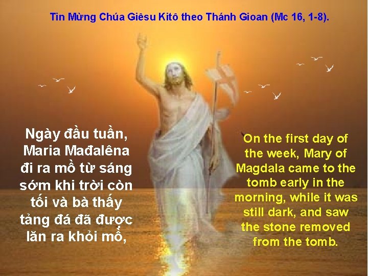 Tin Mừng Chúa Giêsu Kitô theo Thánh Gioan (Mc 16, 1 -8). Ngày đầu