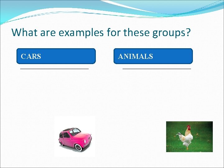 What are examples for these groups? CARS __________ ANIMALS __________ 