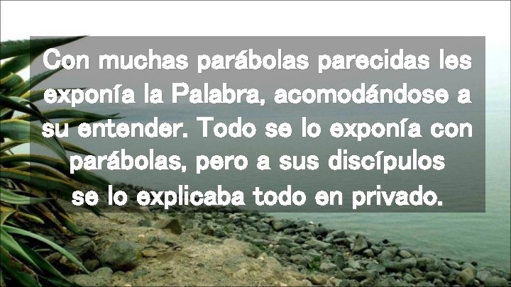 Con muchas parábolas parecidas les exponía la Palabra, acomodándose a su entender. Todo se
