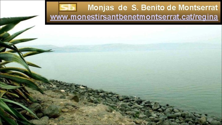 Monjas de S. Benito de Montserrat www. monestirsantbenetmontserrat. cat/regina 