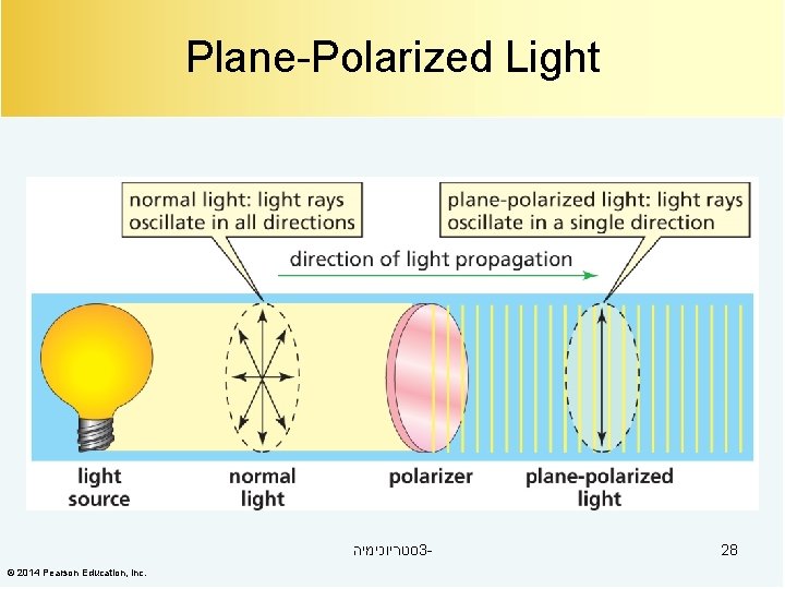 Plane-Polarized Light סטריוכימיה 3© 2014 Pearson Education, Inc. 28 