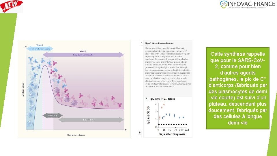 Cette synthèse rappelle que pour le SARS-Co. V 2, comme pour bien d’autres agents