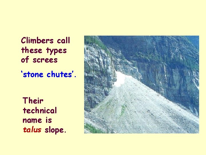 Climbers call these types of screes ‘stone chutes’. Their technical name is talus slope.