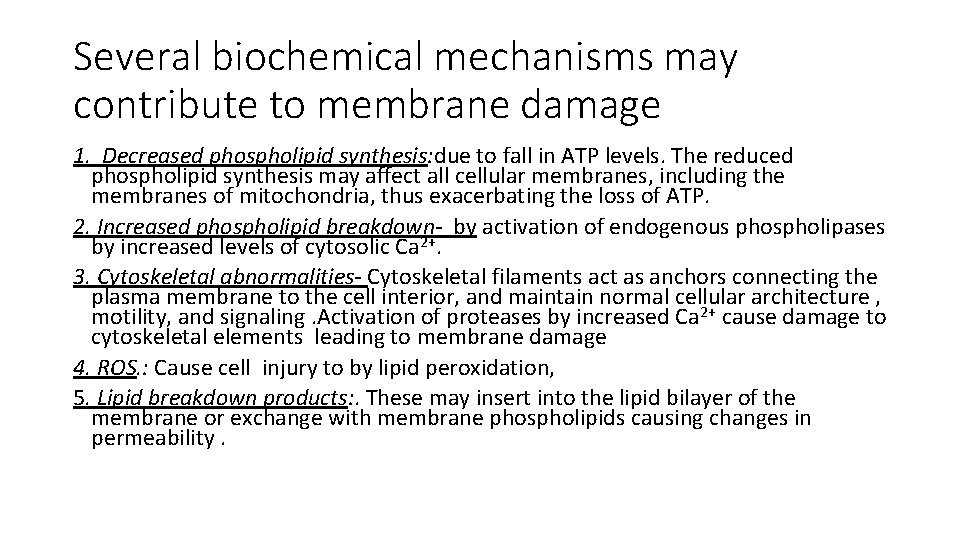 Several biochemical mechanisms may contribute to membrane damage 1. Decreased phospholipid synthesis: due to