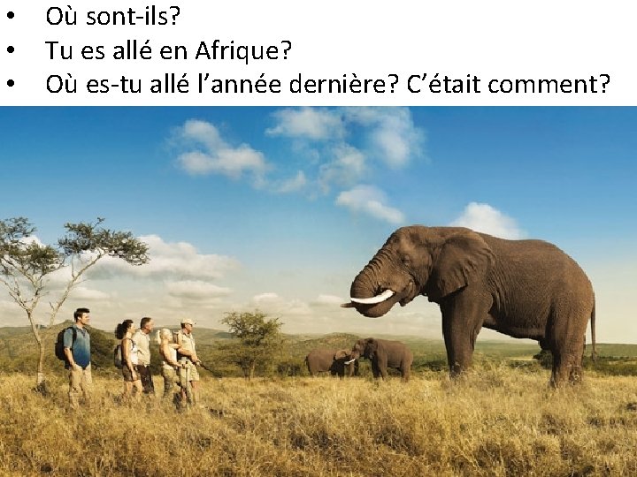  • • • Où sont-ils? Tu es allé en Afrique? Où es-tu allé