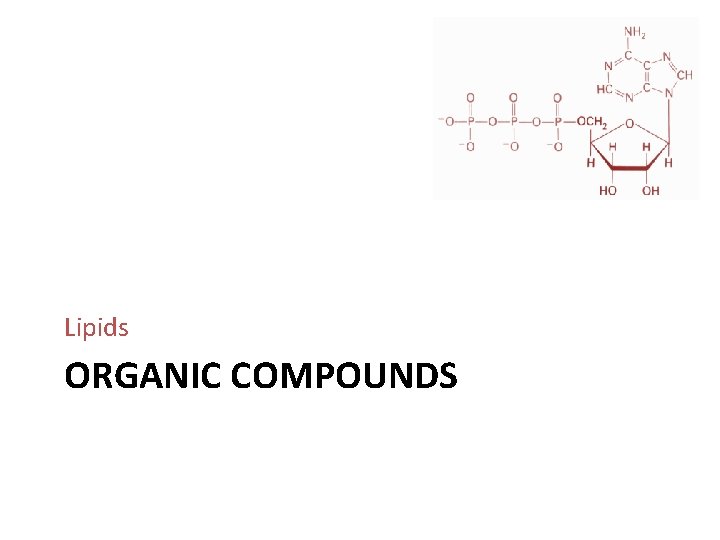 Lipids ORGANIC COMPOUNDS 