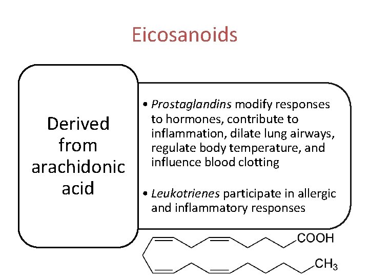 Eicosanoids Derived from arachidonic acid • Prostaglandins modify responses to hormones, contribute to inflammation,