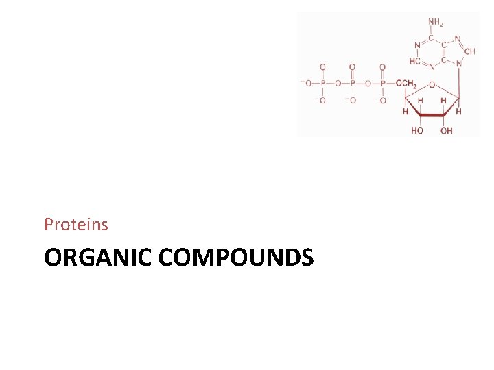 Proteins ORGANIC COMPOUNDS 