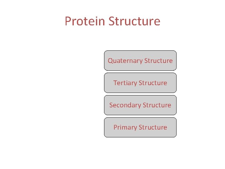 Protein Structure Quaternary Structure Tertiary Structure Secondary Structure Primary Structure 