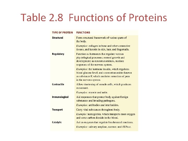 Table 2. 8 Functions of Proteins 