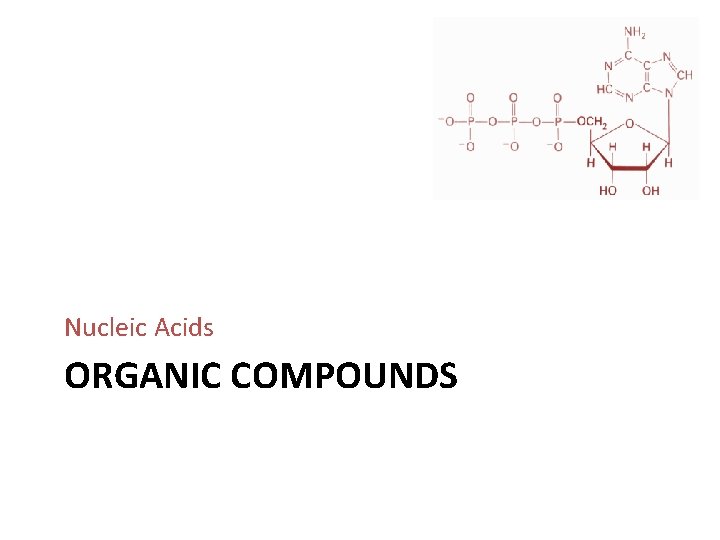 Nucleic Acids ORGANIC COMPOUNDS 