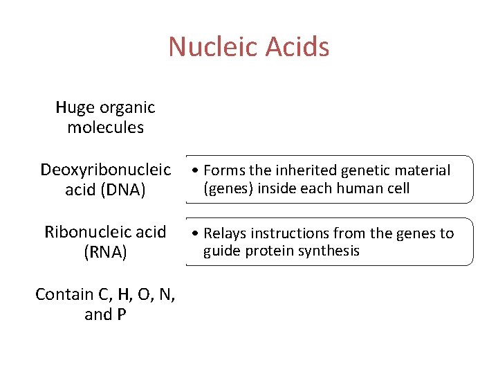 Nucleic Acids Huge organic molecules Deoxyribonucleic acid (DNA) • Forms the inherited genetic material