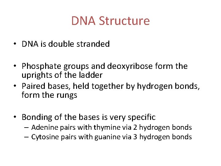 DNA Structure • DNA is double stranded • Phosphate groups and deoxyribose form the