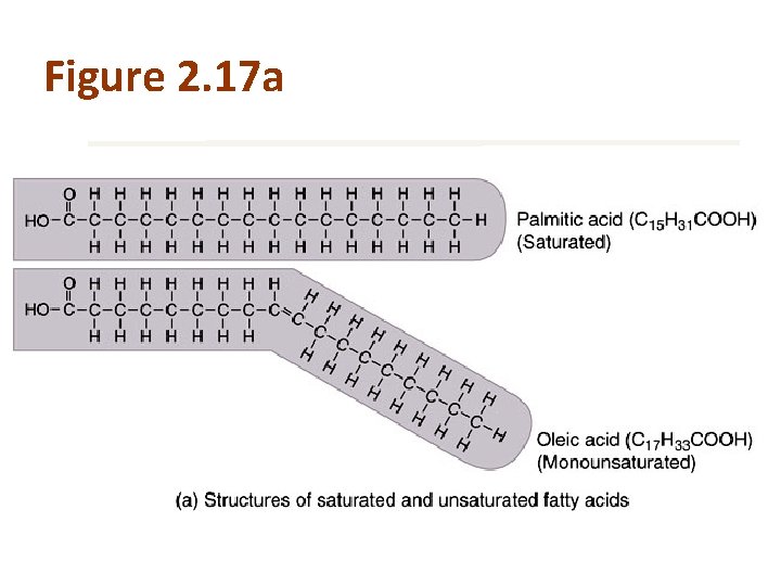 Figure 2. 17 asynthesis 