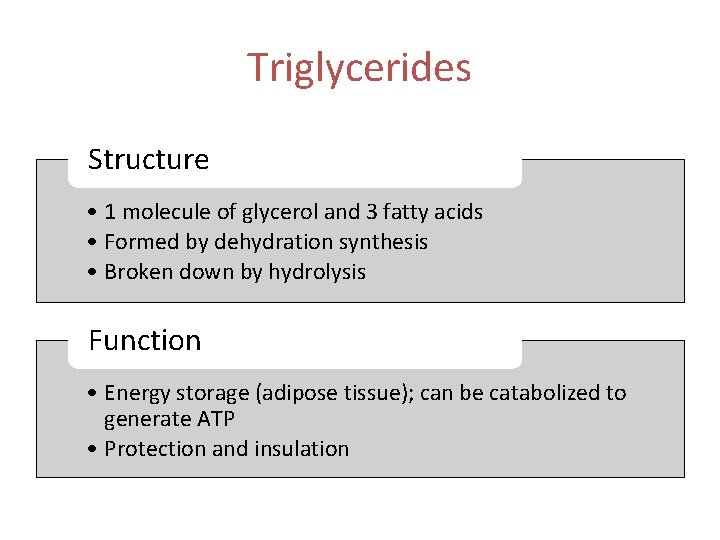 Triglycerides Structure • 1 molecule of glycerol and 3 fatty acids • Formed by