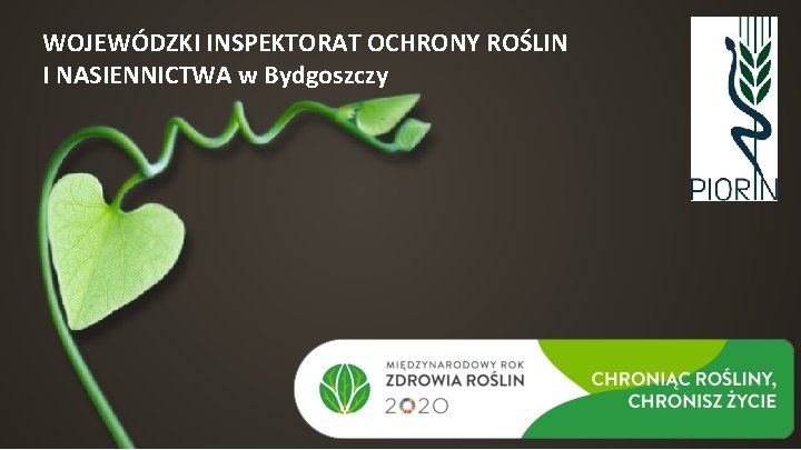 WOJEWÓDZKI INSPEKTORAT OCHRONY ROŚLIN I NASIENNICTWA w Bydgoszczy 