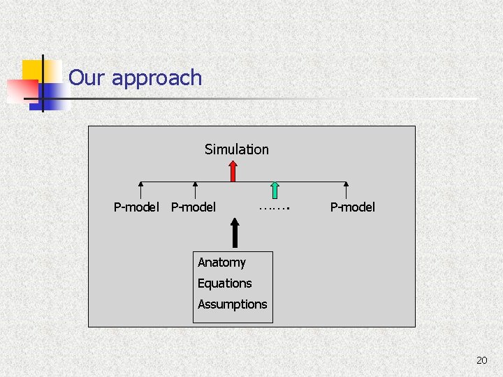 Our approach Simulation P-model ……. P-model Anatomy Equations Assumptions 20 